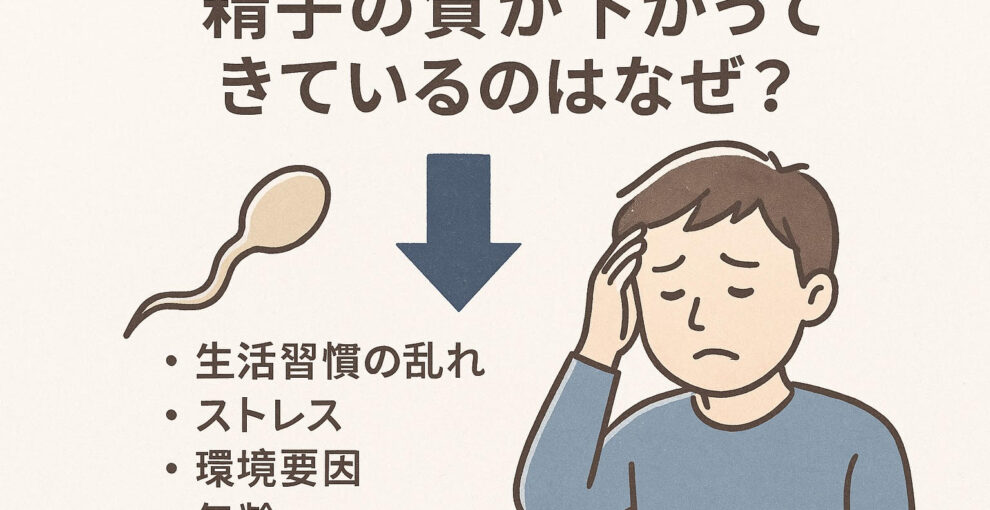 精子の質が下がってきているのはなぜ？